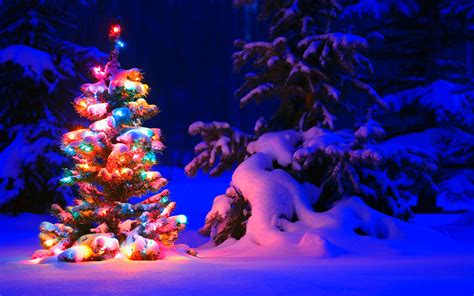christmas 4k background|Free Christmas 4k Background Photos .